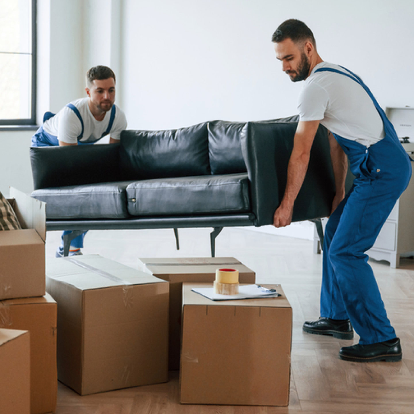 Sofa Moves